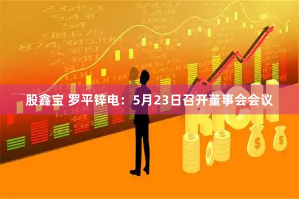股鑫宝 罗平锌电：5月23日召开董事会会议