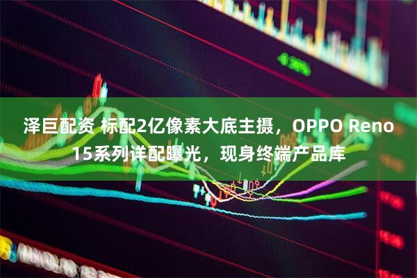 泽巨配资 标配2亿像素大底主摄，OPPO Reno15系列详配曝光，现身终端产品库
