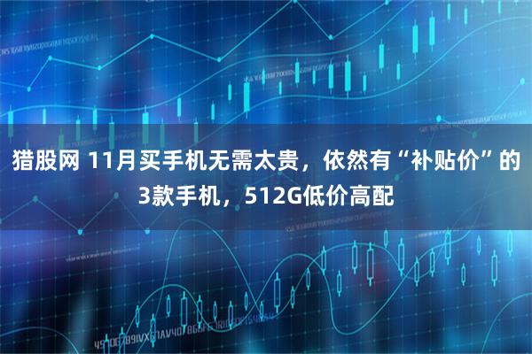猎股网 11月买手机无需太贵，依然有“补贴价”的3款手机，512G低价高配