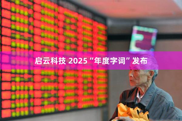 启云科技 2025“年度字词”发布