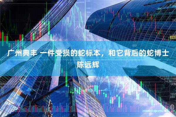 广州典丰 一件受损的蛇标本，和它背后的蛇博士陈远辉